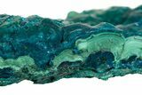 Vibrant Teal Botryoidal Chrysocolla and Malachite - Chile #310109-1